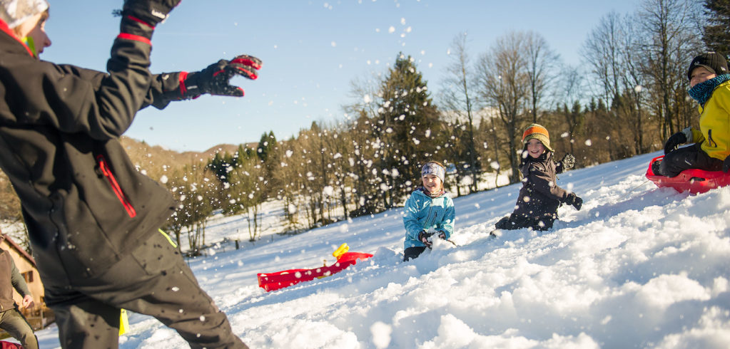 Où mettre l'oranger en hiver ?