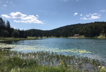 Baignade en plein-air au lac Genin, près d'Oyonnax