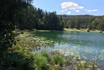 Baignade en plein-air au lac Genin, près d'Oyonnax